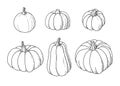 Pumkins. Vegetable set. Doodle outline vector