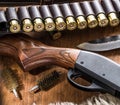 Pump action shotgun, cartridge 12 guage and hunting knife Royalty Free Stock Photo