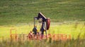 Pump Jack in Green Field Royalty Free Stock Photo