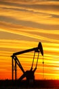 Pump jack in the oil field at sunset Royalty Free Stock Photo