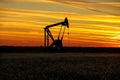 Pump jack in the oil field at sunset Royalty Free Stock Photo