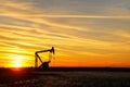 Pump jack in the oil field at sunset Royalty Free Stock Photo