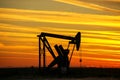 Pump jack in the oil field at sunset Royalty Free Stock Photo