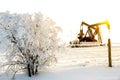 Pump jack in the sunrise light and the bush in snow in the oilfield