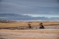 Pump jacks working in the oilfields of Alberta