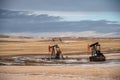 Pump jacks working in the oilfields of Alberta