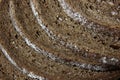 Pumpernickel Bread Crusts