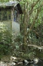 Old Pumphouse on Mulgum Creek, Nimbin