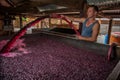 Pumping over fermenting grapes in Barossa Valley winery