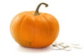 Pumpkin Royalty Free Stock Photo