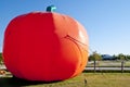 Pumpkin Royalty Free Stock Photo