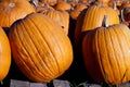 Pumpkin Royalty Free Stock Photo