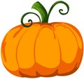 Pumpkin Royalty Free Stock Photo