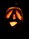 Pumpkin 2