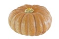 Pumpkin Royalty Free Stock Photo