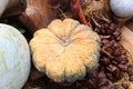 Pumpkin Royalty Free Stock Photo