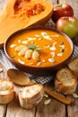 Pumpkin and apple soup with seeds, yogurt surrounded by ingredients close-up. vertical Royalty Free Stock Photo