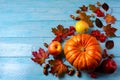 Pumpkin, apples, berries, acorns and fall leaves on blue background copy space Royalty Free Stock Photo