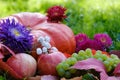 Pumpkin, apples, green grapes and flowers on the grass Royalty Free Stock Photo