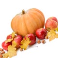 Pumpkin, apples and hazel isolated on white Royalty Free Stock Photo