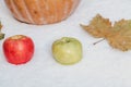 Pumpkin, apples and maple leaves lie on white snow Royalty Free Stock Photo