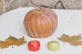 Pumpkin, apples and maple leaves lie on white snow Royalty Free Stock Photo