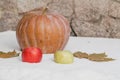 Pumpkin, apples and maple leaves lie on white snow Royalty Free Stock Photo