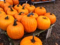 Pumpkin arrayed on a stand at a farmers market Royalty Free Stock Photo