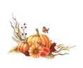 Pumpkin autumn arrangement. Watercolor illustration. Robin bird on pumpkin, flower, berries, autumn leaves. Hand drawn Royalty Free Stock Photo