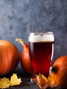 Pumpkin autumn craft red ale beer in a glass on the table Royalty Free Stock Photo