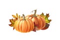 Pumpkin with autumn leaf. Watercolor illustration. Hand drawn orange autumn pumpkins side view. Thanksgiving harvest