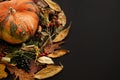 Pumpkin in autumn leaves wreath, berries, nuts, acorns, flowers, Royalty Free Stock Photo