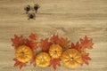 Pumpkin Autumn Thanksgiving Background