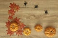 Pumpkin Autumn Thanksgiving Background