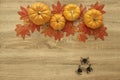 Pumpkin Autumn Thanksgiving Background