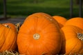 Pumpkin in Autumn