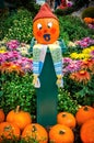 Pumpkin baby Royalty Free Stock Photo