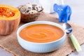 Pumpkin baby soup puree Royalty Free Stock Photo