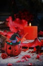 Pumpkin on a background of dry plants and candles Royalty Free Stock Photo