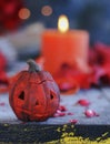 Pumpkin on a background of dry plants and candles Royalty Free Stock Photo