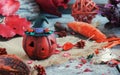 Pumpkin on a background of dry plants and candles Royalty Free Stock Photo