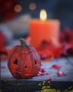 Pumpkin on a background of dry plants and candles Royalty Free Stock Photo