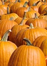 Pumpkin background Orange harvest vegetable holiday Halloween October Jack O& x27;Lantern decorate