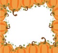 Pumpkin Background