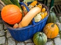 Pumpkin Basket Deco