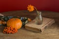 Pumpkin, berries and flower on wooden background