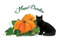 Pumpkin and black cat. Black green-eyed cat and a beautiful ripe pumpkin. Halloween design