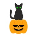 Pumpkin and black cat Halloween symbol. terrible holiday