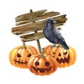 Pumpkin and black raven halloween illustration. Blackcrow bird, pumpkins, wooden banner image. Halloween object