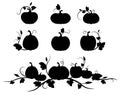 Pumpkin. Black silhouette. Isolated silhouette vegetable, leaves, flower and seeds.